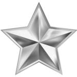 Star logo - Silver star - Driving Hub