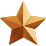 Bronze star - Star logo - Driving Hub