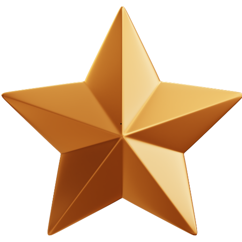 Bronze star - Star logo - Driving Hub